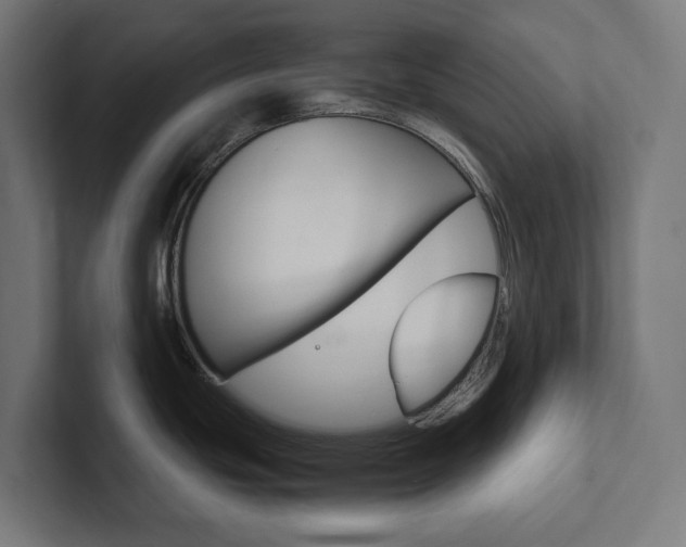 X0000102381439200808010905