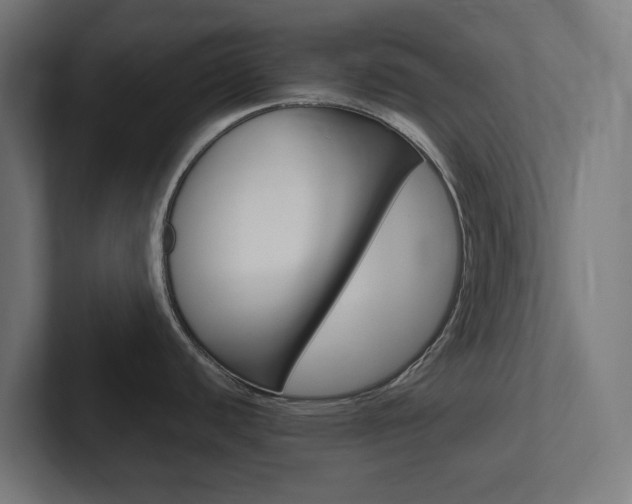 X0000102381440200808010905
