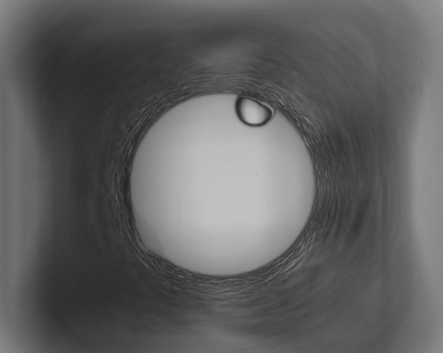X0000102381441200808010905