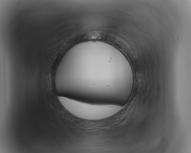 X0000102381442200808010905