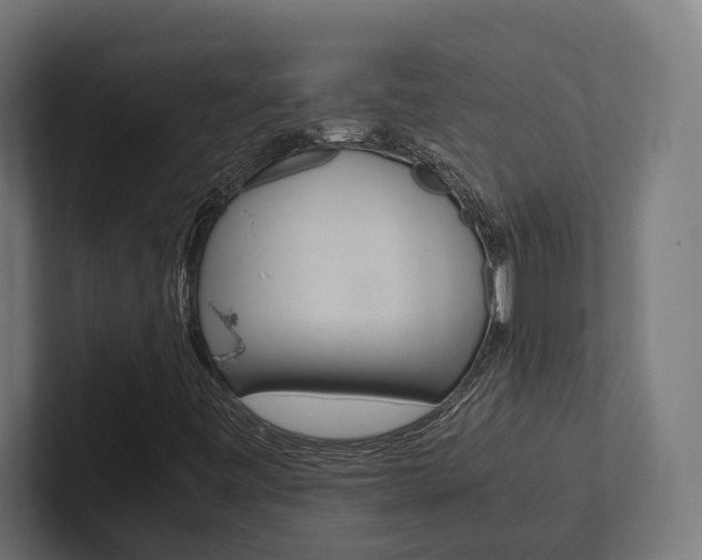 X0000102381443200808010905