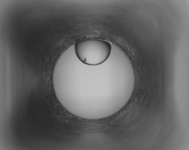 X0000102381445200808010905