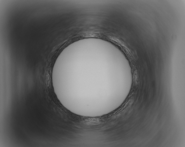 X0000102381446200808010905