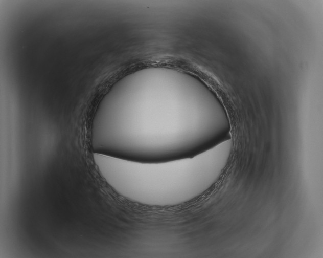 X0000102381447200808010905
