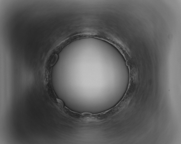 X0000102381448200808010905
