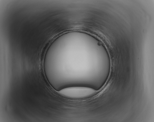 X0000102381449200808010905