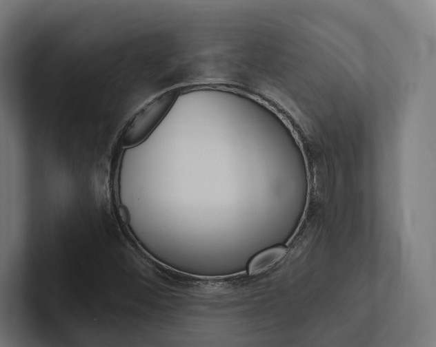 X0000102381452200808010905