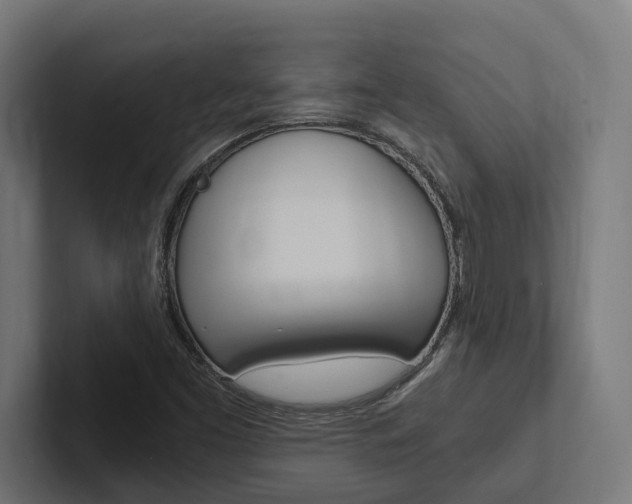 X0000102381453200808010905