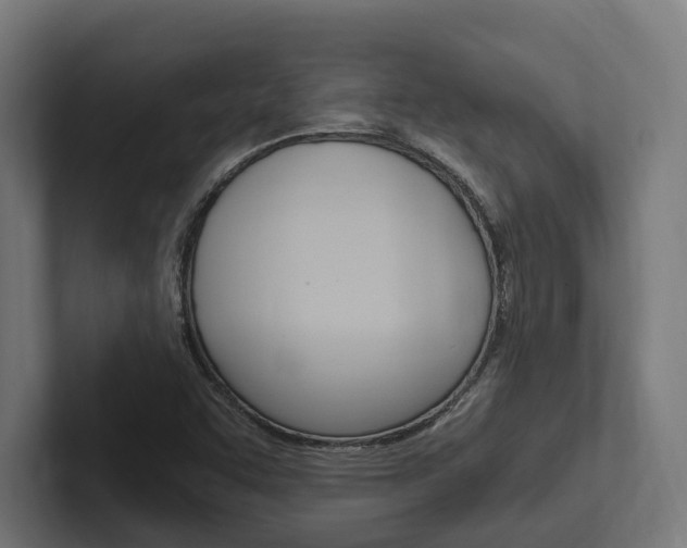 X0000102381455200808010905