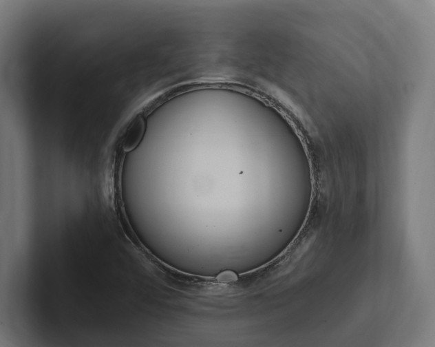 X0000102381456200808010905
