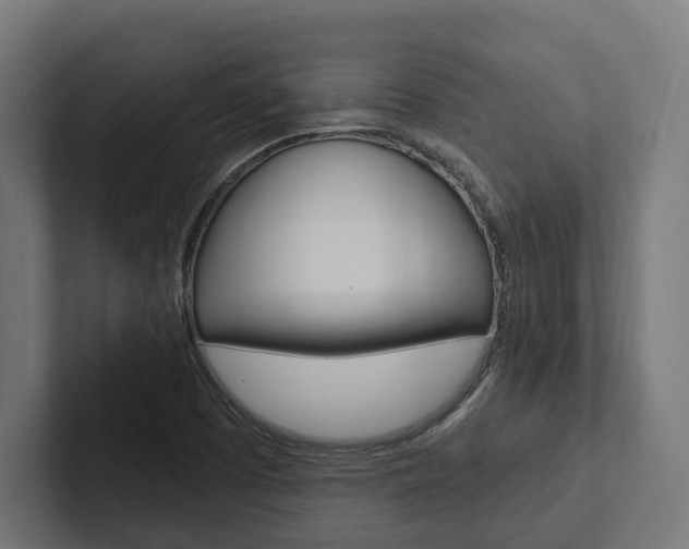 X0000102381457200808010905