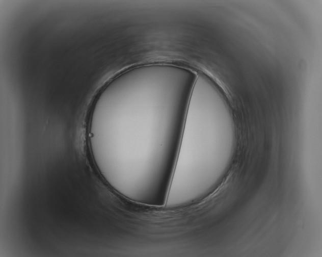 X0000102381459200808010905