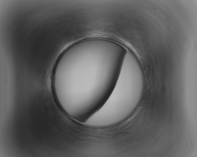 X0000102381463200808010904