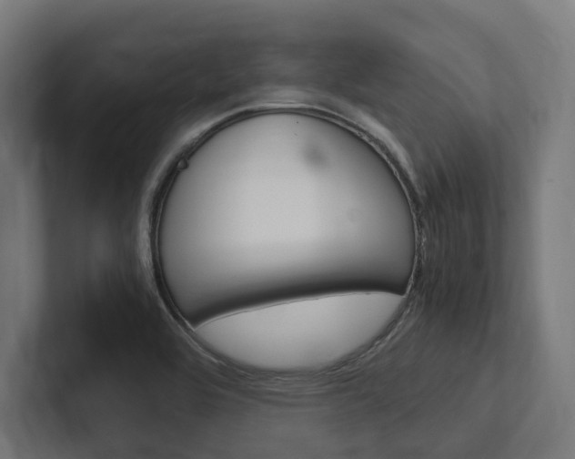 X0000102381464200808010904