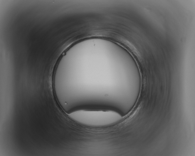 X0000102381465200808010904
