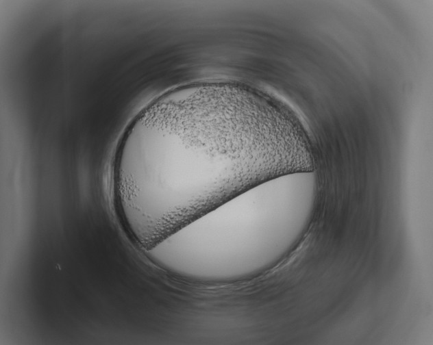 X0000102381467200808010904