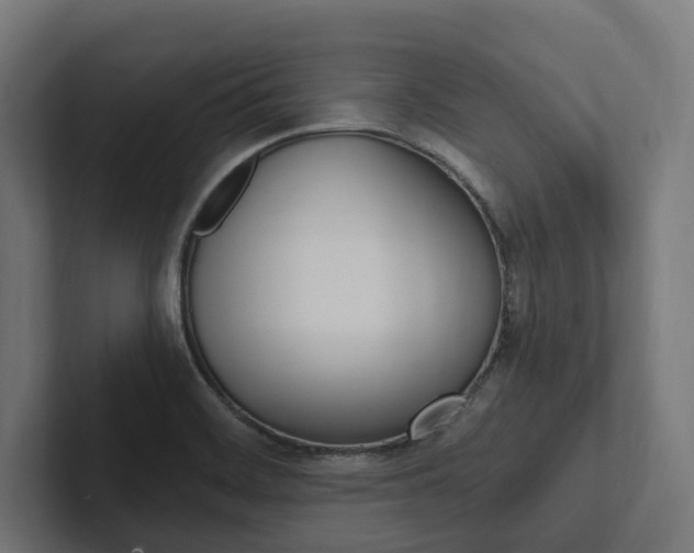 X0000102381468200808010904