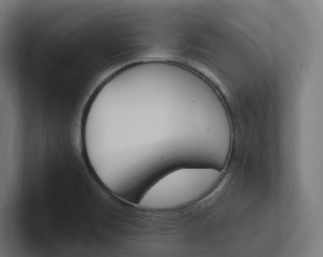 X0000102381469200808010904