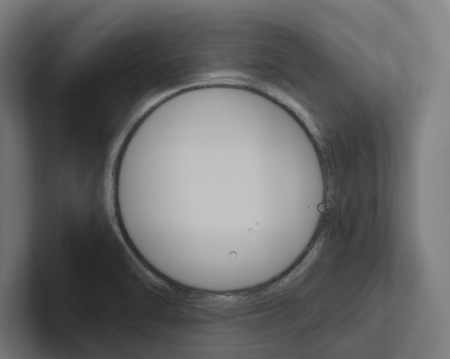 X0000102381470200808010904