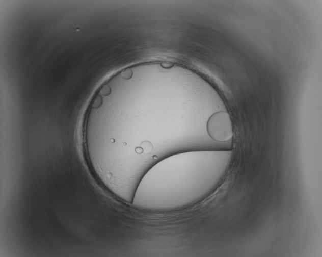 X0000102381471200808010904