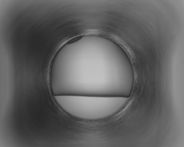 X0000102381473200808010904