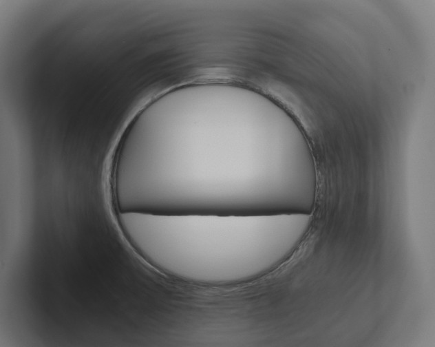 X0000102381475200808010904