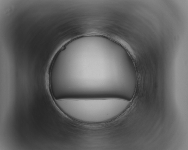 X0000102381476200808010904