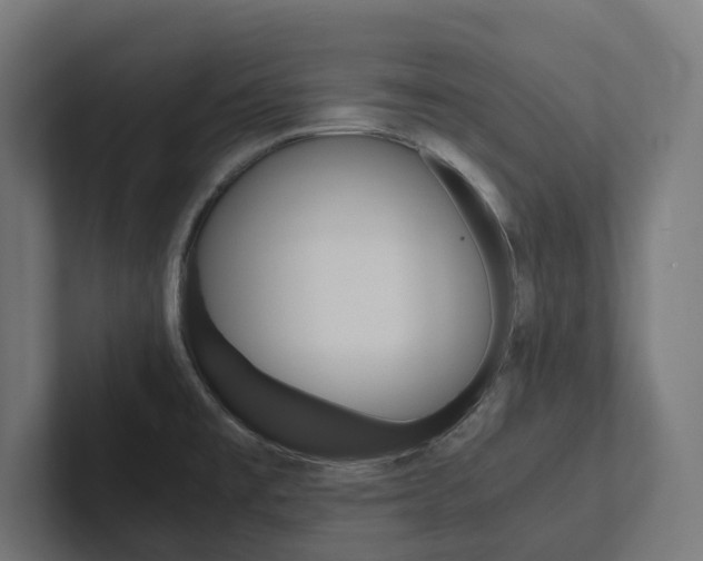 X0000102381477200808010904