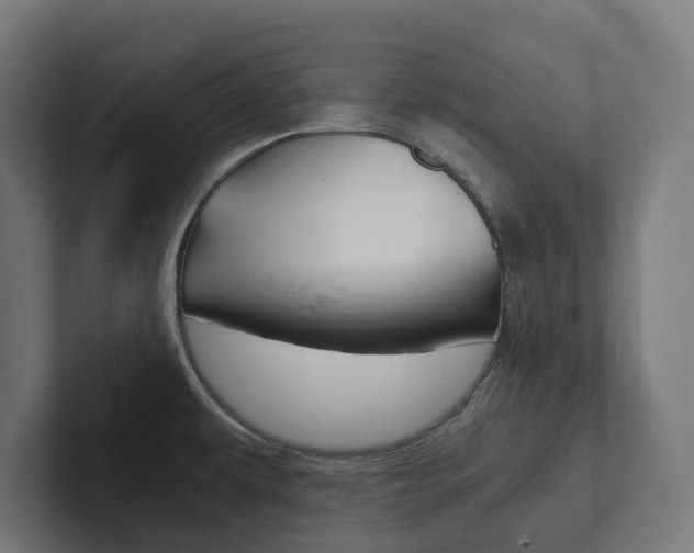 X0000102381479200808010904