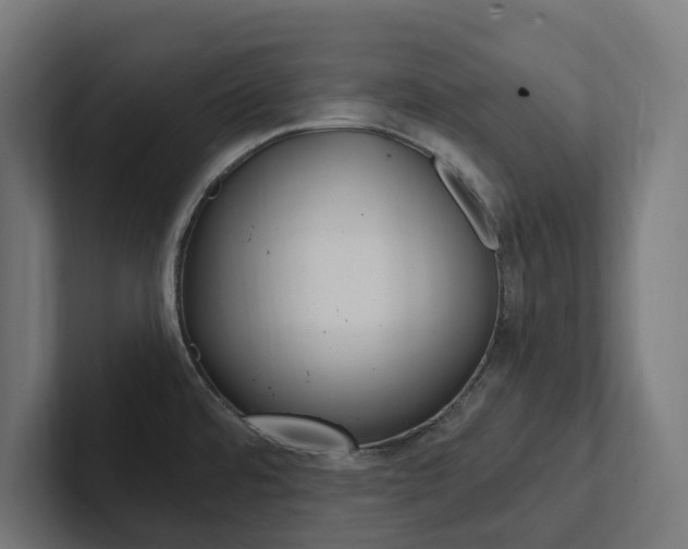 X0000102381480200808010904
