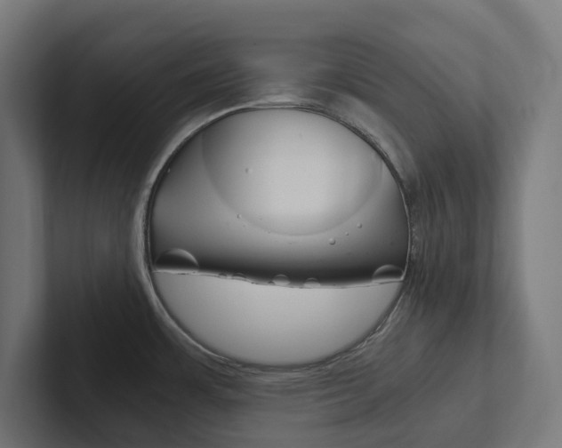 X0000102381483200808010904