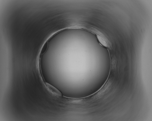 X0000102381484200808010904
