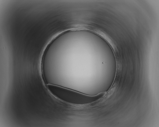 X0000102381485200808010904