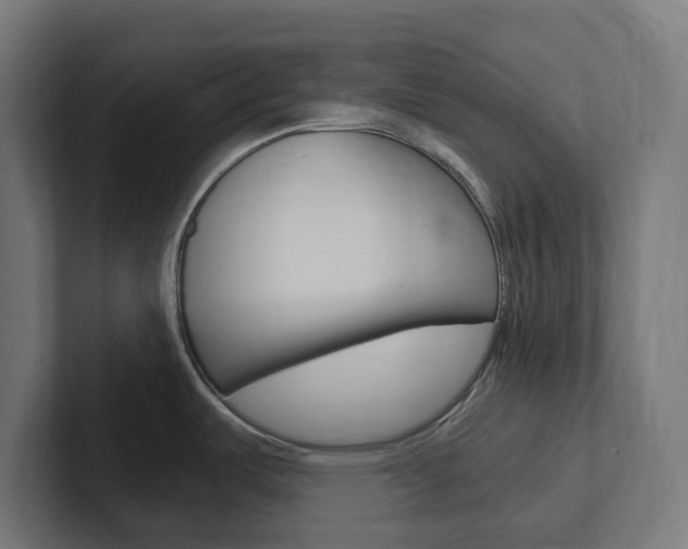 X0000102381487200808010904