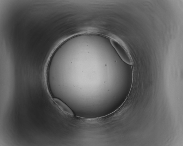 X0000102381488200808010904