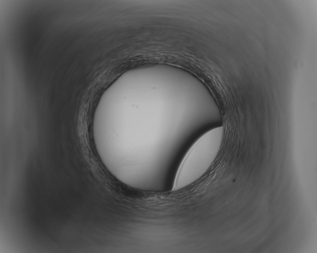 X0000102381489200808010904