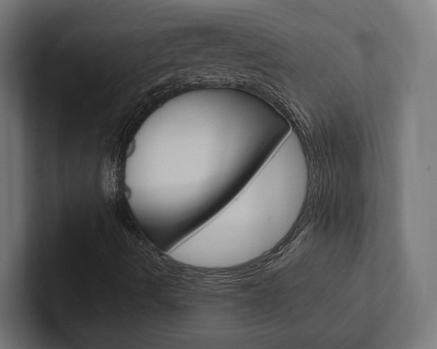 X0000102381490200808010904