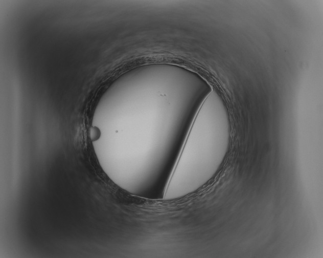 X0000102381493200808010904