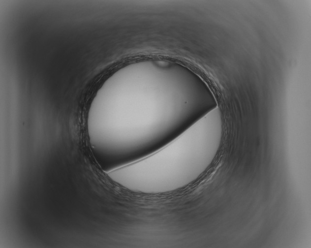 X0000102381494200808010904