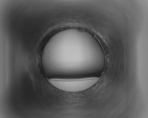 X0000102381495200808010904