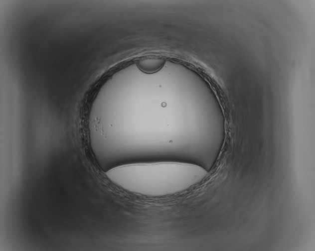 X0000102381496200808010904