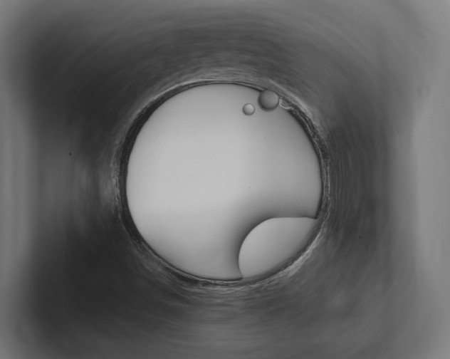 X0000102381498200808010904