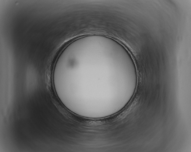 X0000102381499200808010904