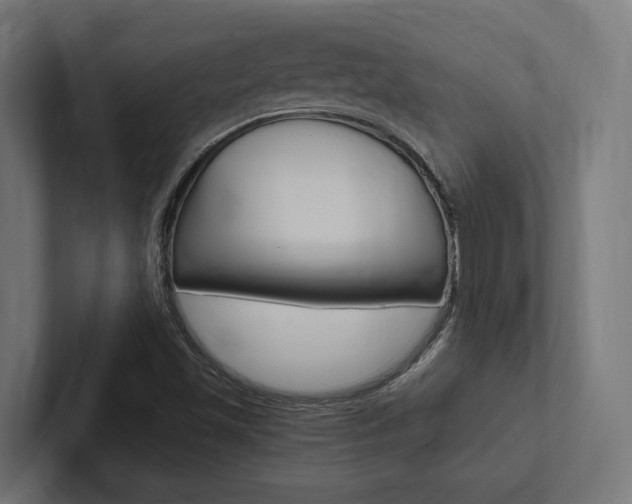 X0000102381501200808010904
