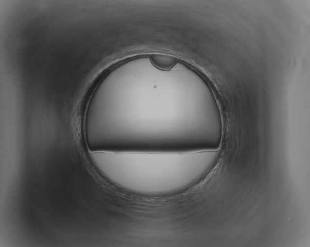 X0000102381503200808010904
