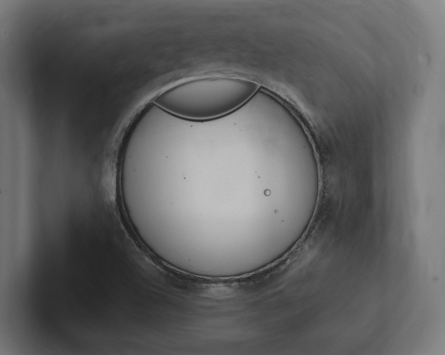 X0000102381504200808010904