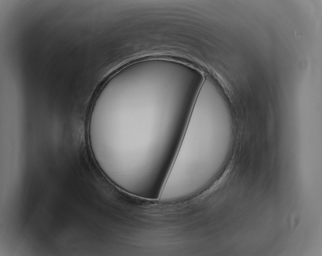 X0000102381505200808010904
