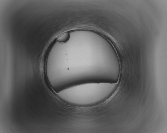 X0000102381506200808010904