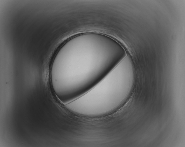 X0000102381507200808010904