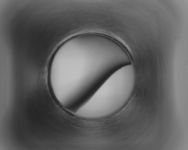 X0000102381508200808010904